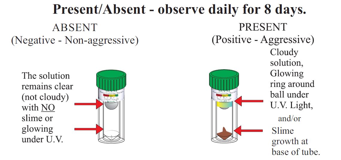 SLYM BART Test Kit absent and present